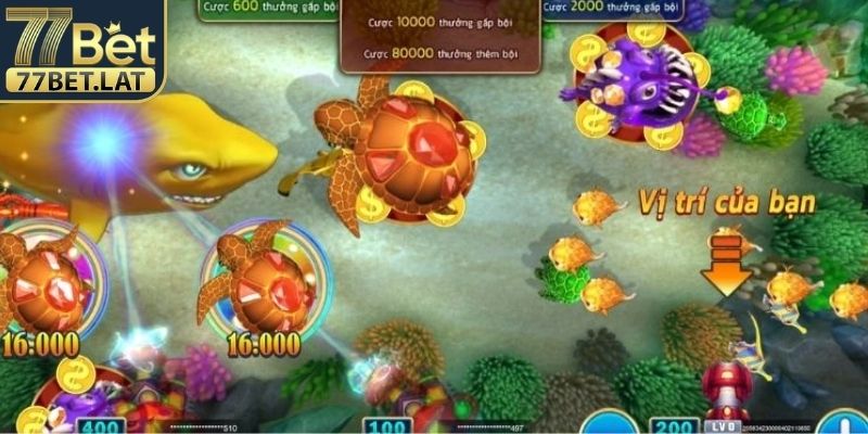  Chiến thuật thông minh giúp bạn tăng cơ hội trúng Jackpot 